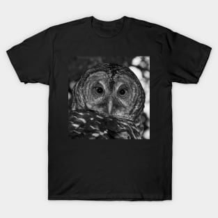 Barred Owl T-Shirt